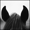 avatars-horses-070471.png