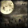 avatars-moon-708013.gif