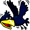 Crow bird graphics