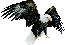 20й лунный день Bird-graphics-eagle-970467