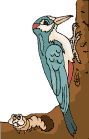 bird-graphics-woodpecker-496207.gif