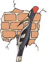 bird-graphics-woodpecker-676995.gif