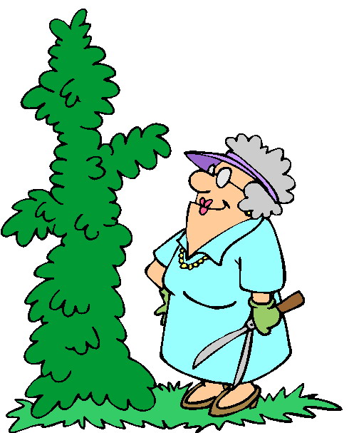 clipart garden images - photo #47