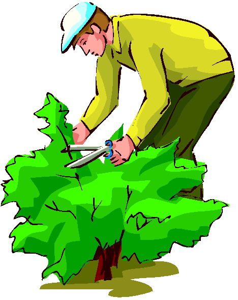 free garden images clip art - photo #26