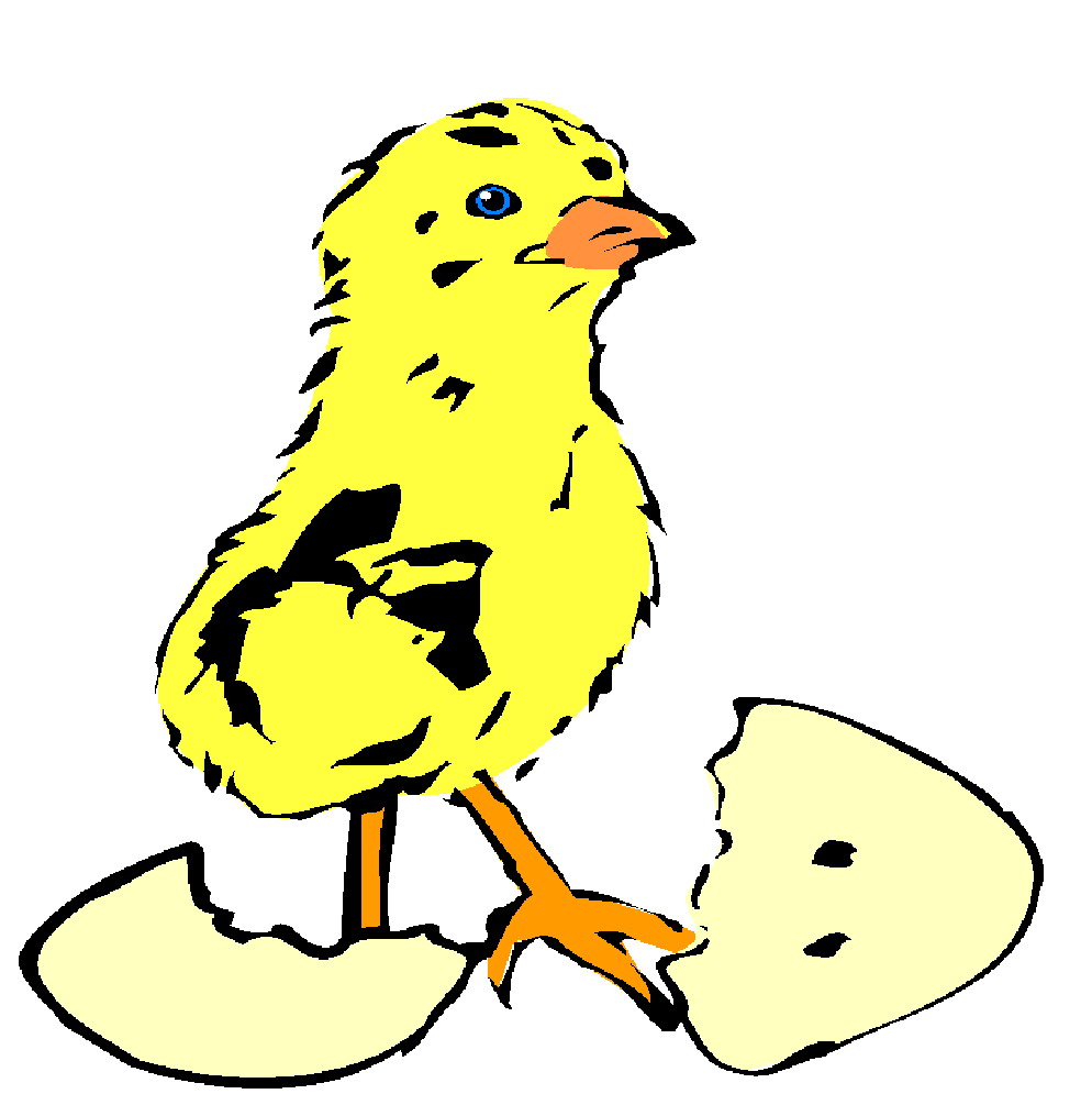 chick hatching clipart - photo #44
