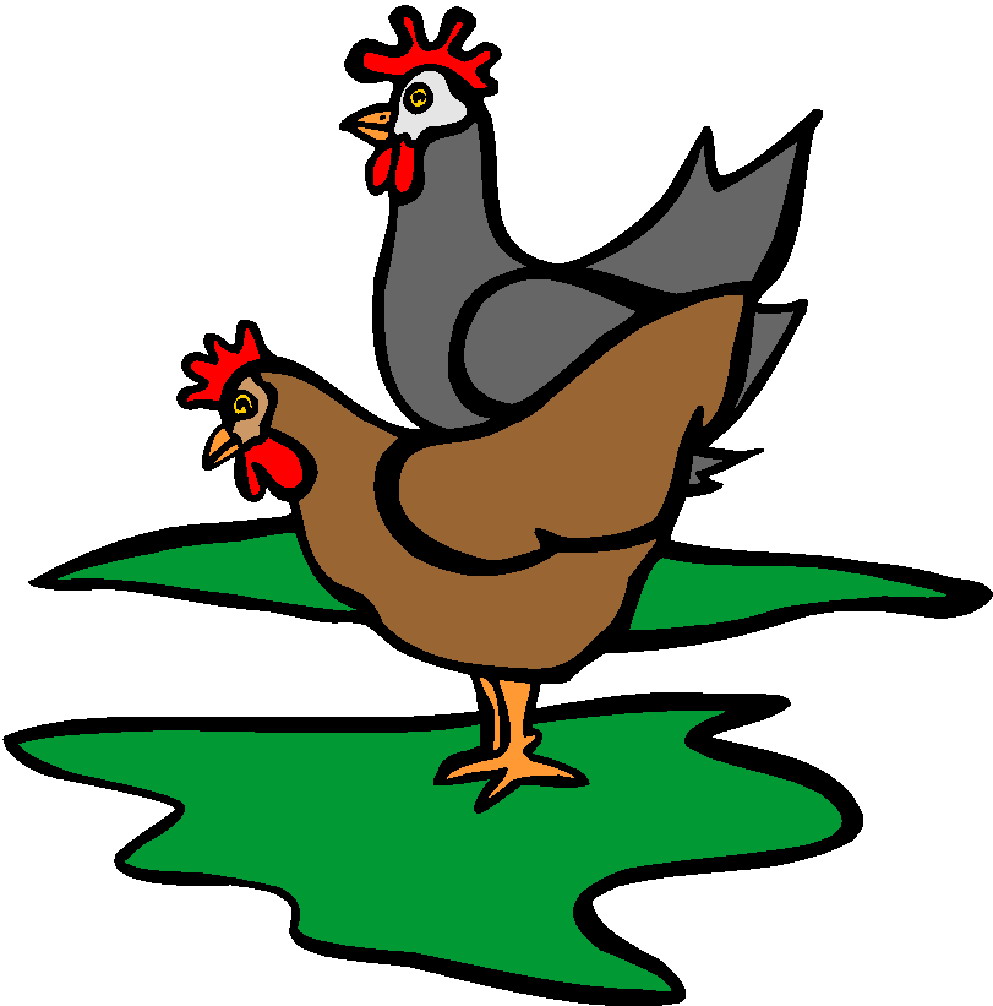 clipart of chickens - photo #33