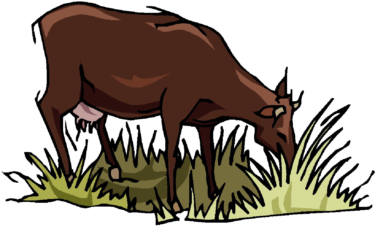 cow eating clipart - photo #13
