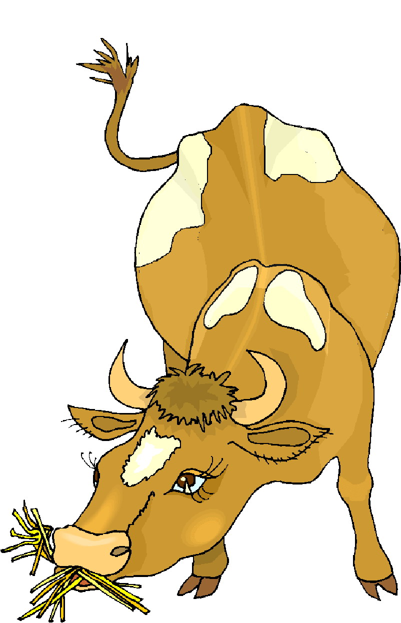 cow eating clipart - photo #2