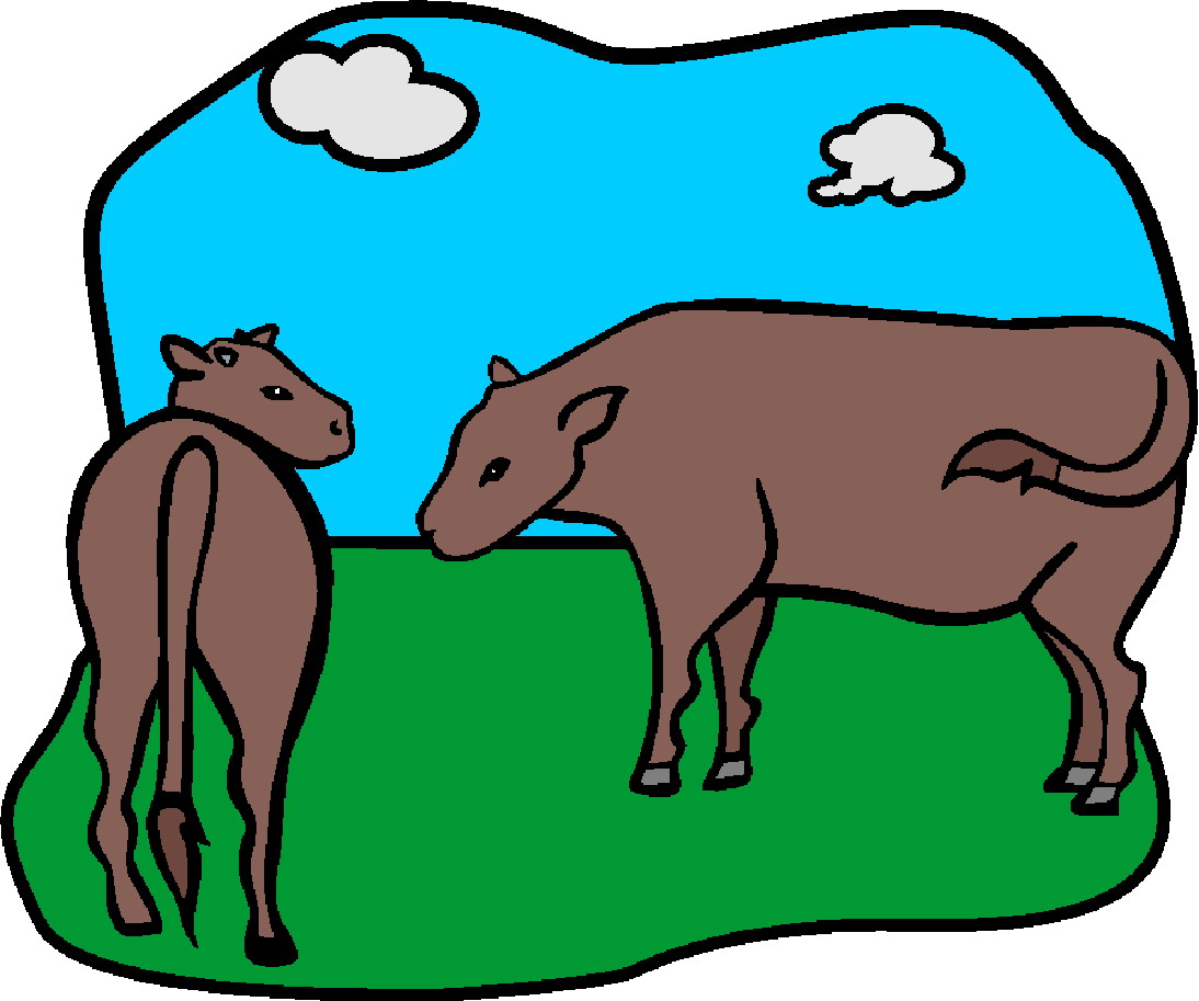 clip art cow face - photo #48