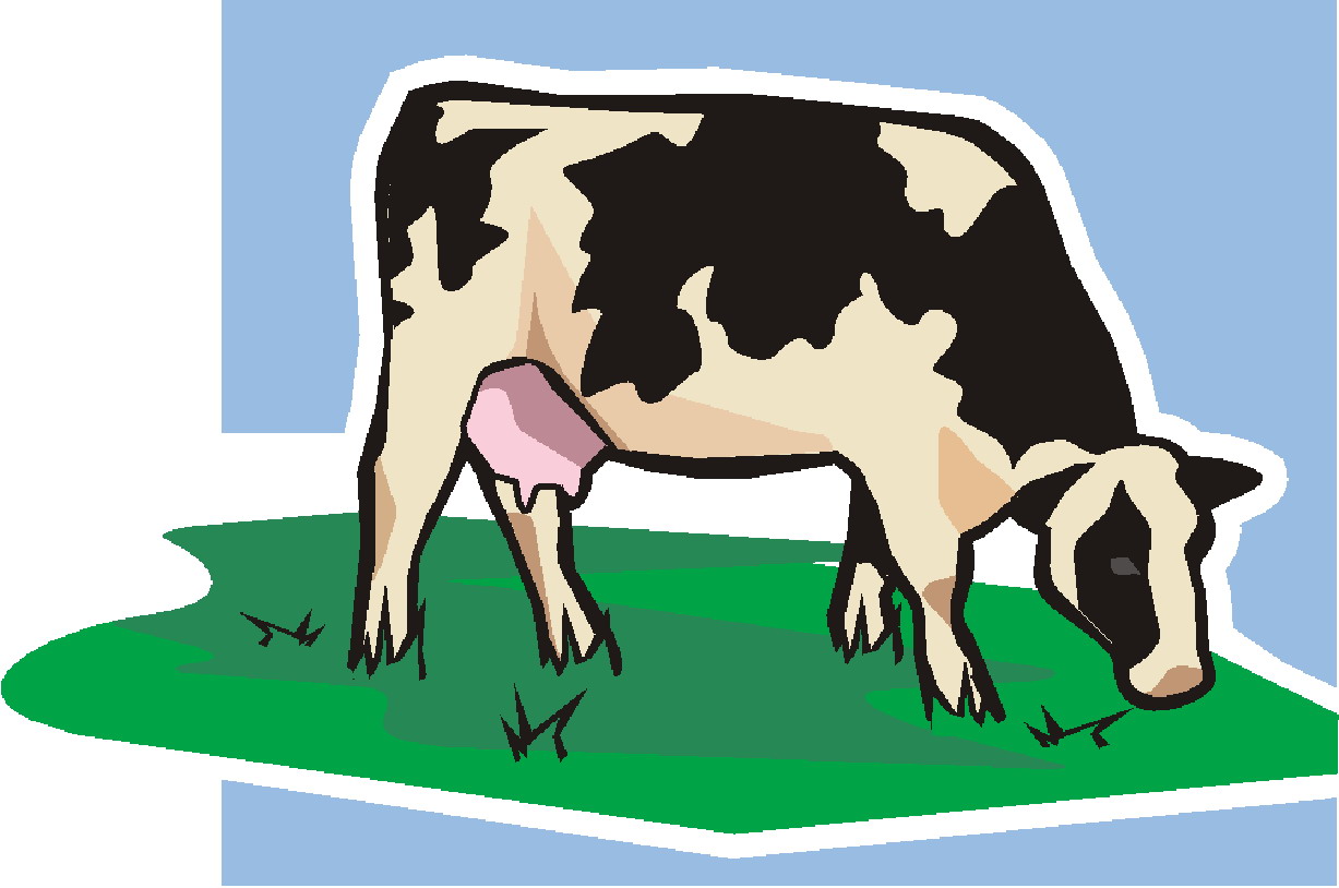 clip art holy cow - photo #30