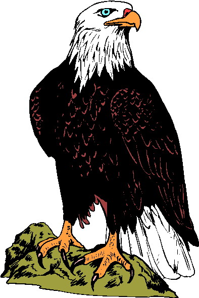 free clipart of bald eagles - photo #26
