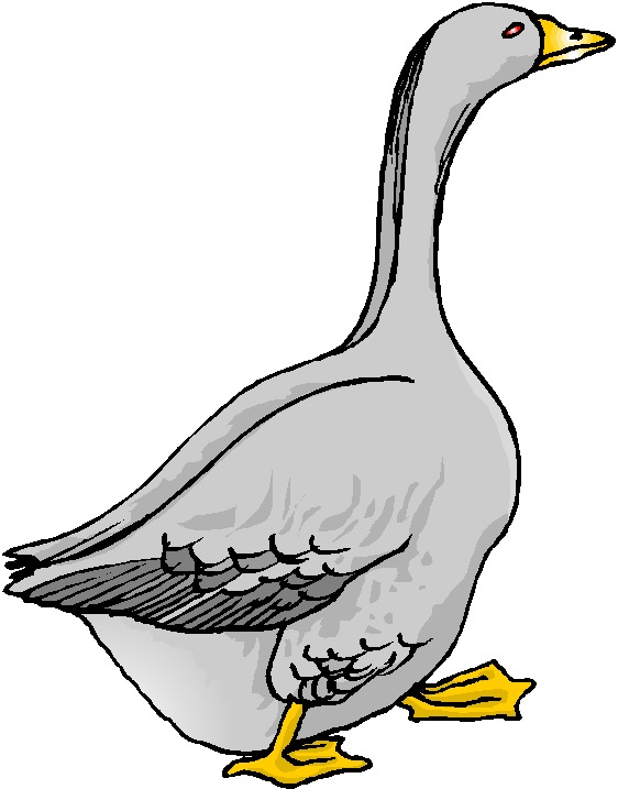 goose clipart images - photo #4