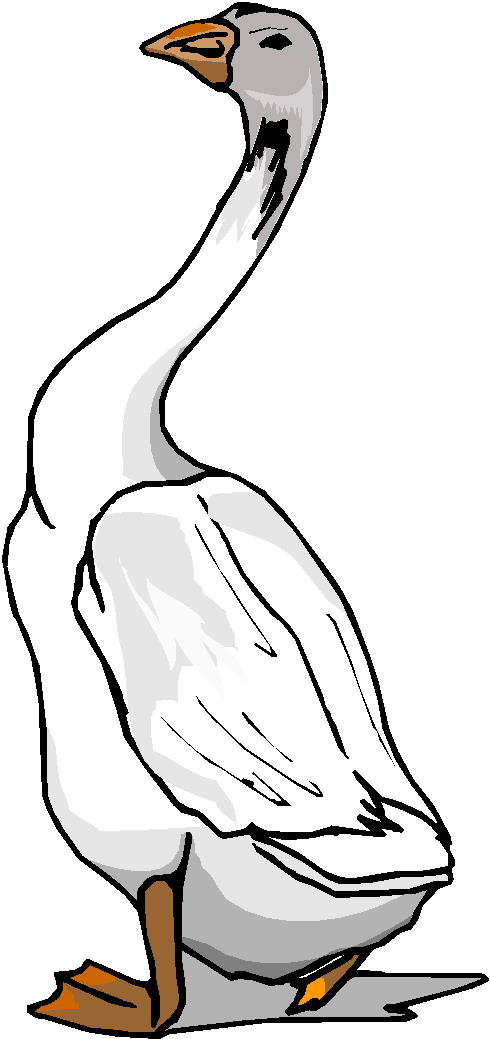 clipart of goose - photo #29