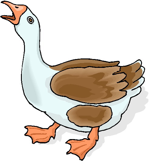 silly goose clipart - photo #48