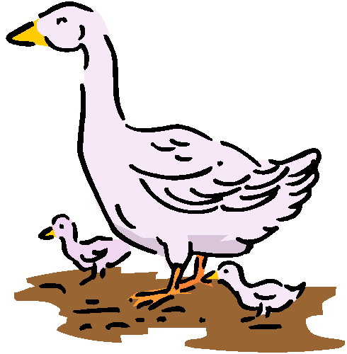 clipart of a goose - photo #42