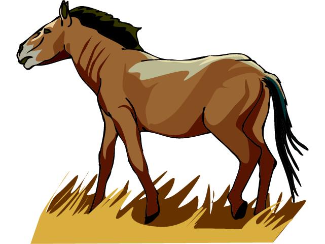 sport horse clipart - photo #29