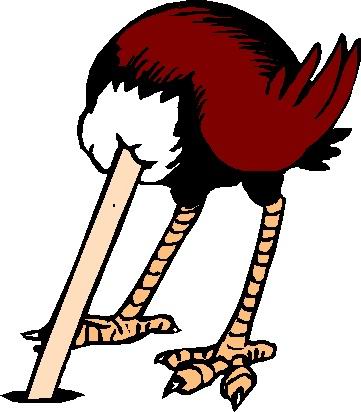 clip-art-ostriches-552028.jpg