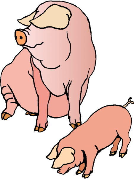 clipart picture of pig - photo #32