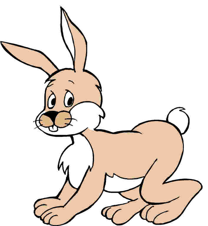 clipart of rabbit - photo #22