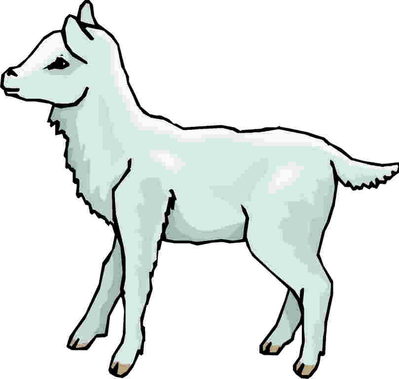 clipart of lamb - photo #26