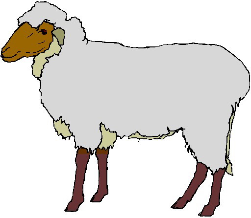 clipart of sheep - photo #15