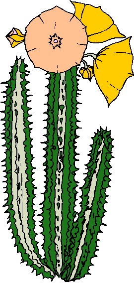 free clipart cactus flower - photo #39
