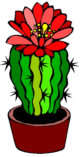 free clipart cactus flower - photo #2