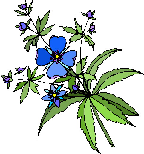 clipart flowers and vines - photo #27