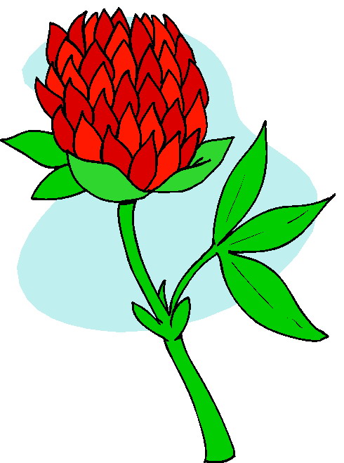 free clip art plants and flowers - photo #24