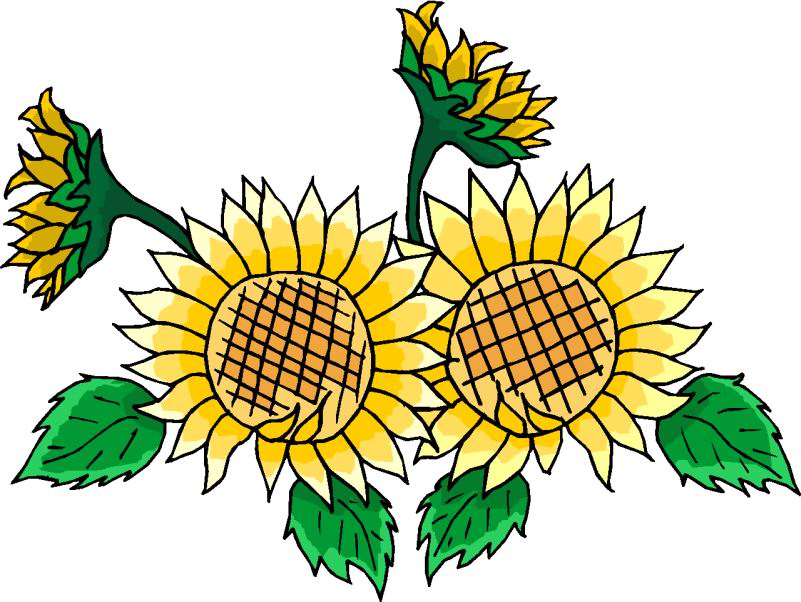 free clip art sunflowers flowers - photo #46