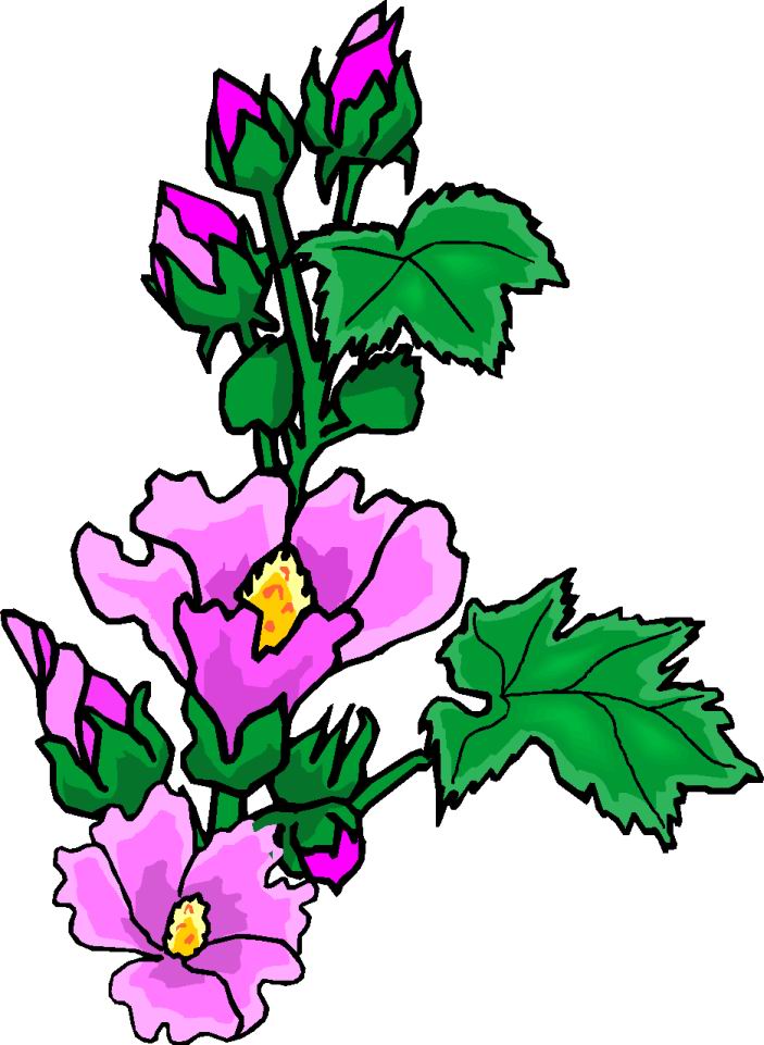 clipart flower drawings - photo #45