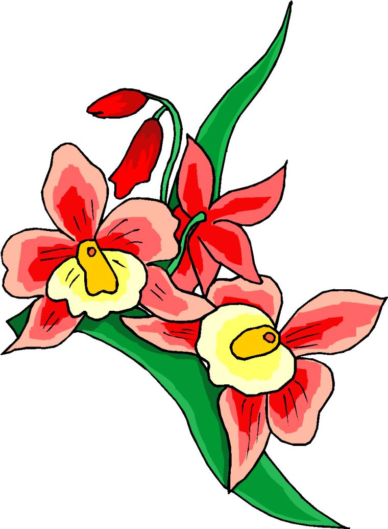 free flower clip art microsoft - photo #27