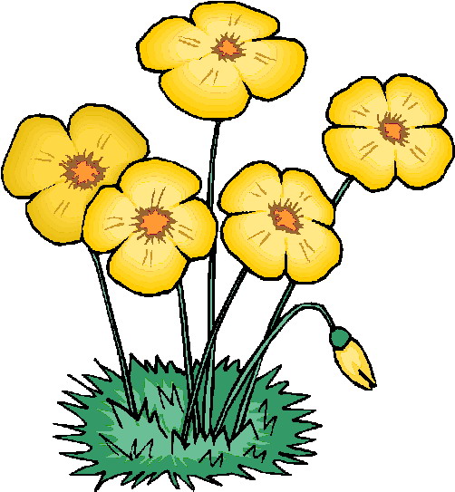clipart photos of flowers - photo #23