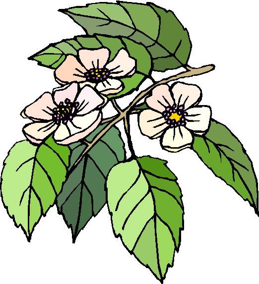 free clipart plants and flowers - photo #22