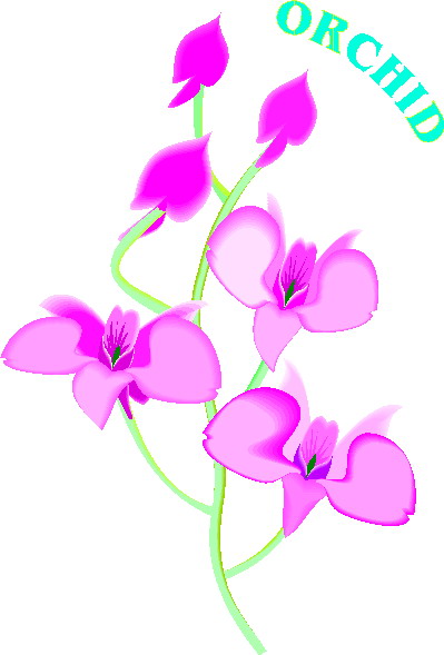 orchid flower clip art free - photo #26