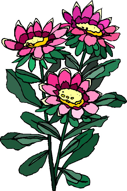 clipart plantas - photo #46