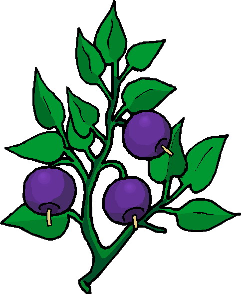 free clip art plants and flowers - photo #23