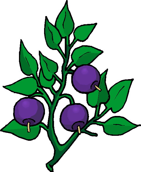 clipart plants - photo #9