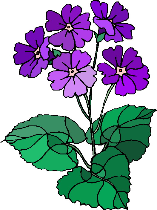 free clip art plants and flowers - photo #9