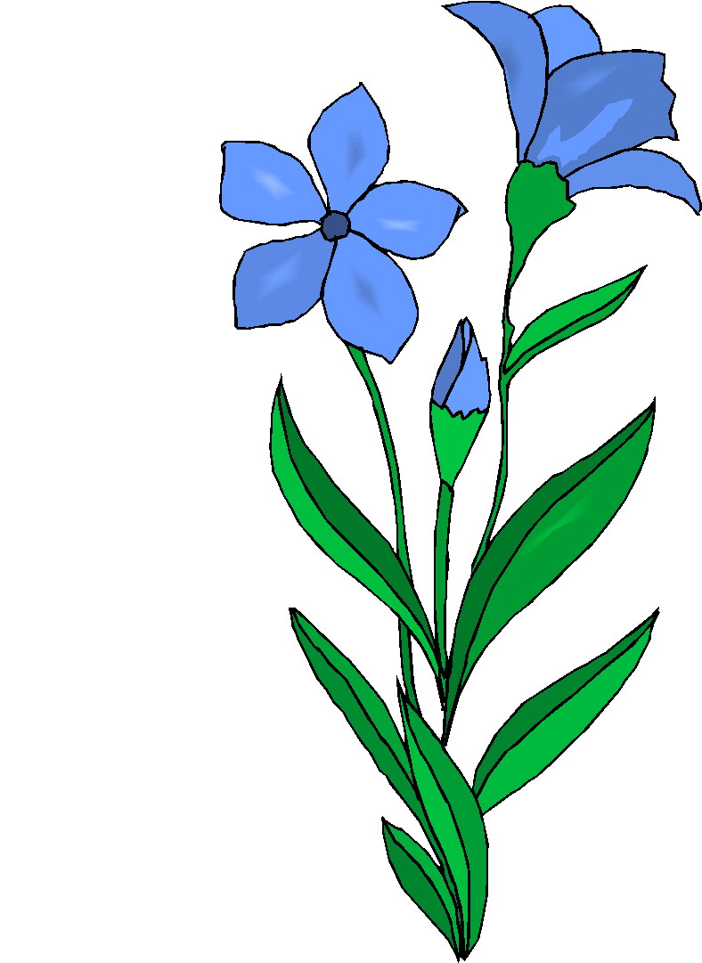 free clip art plants and flowers - photo #14