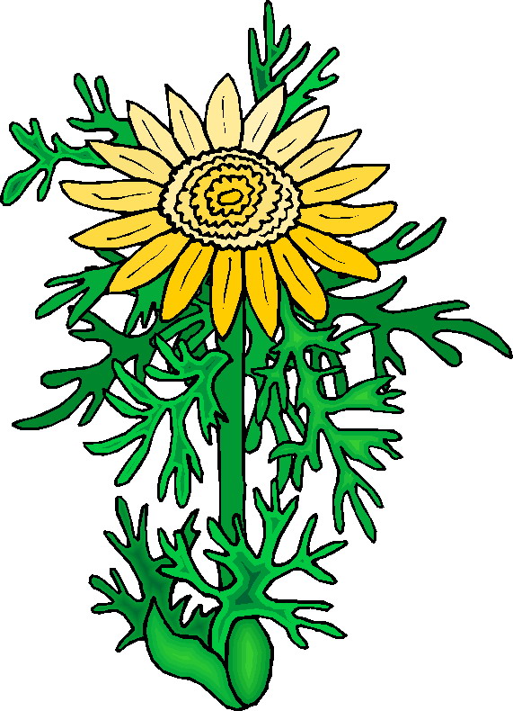 clipart plantas - photo #21