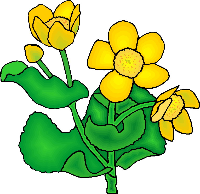 clipart plantas - photo #14