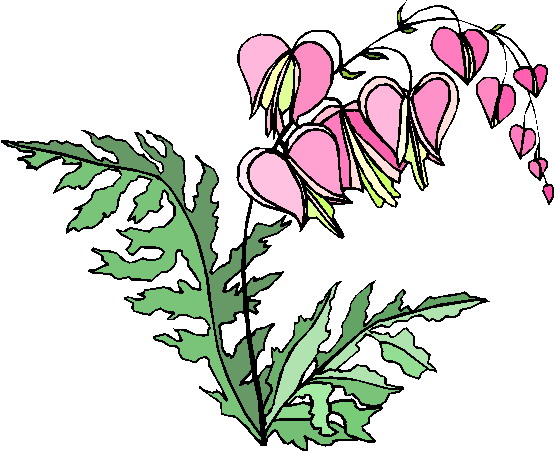 free clip art plants and flowers - photo #20