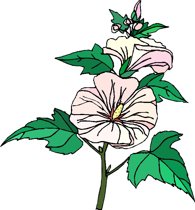 free clip art plants and flowers - photo #27