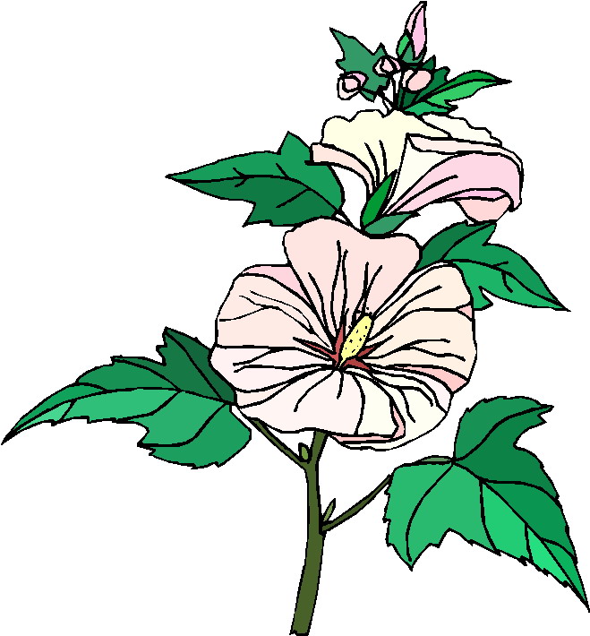 clipart plantas - photo #29