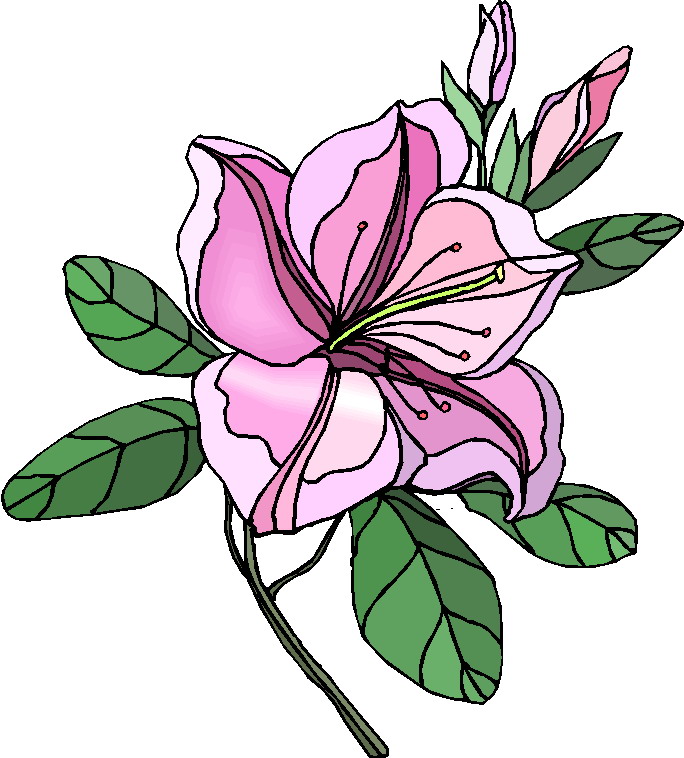 clipart picture of a flower - photo #33