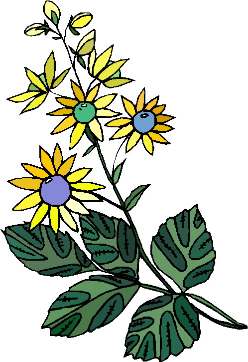 free clip art plants and flowers - photo #35