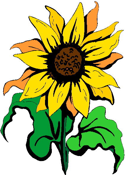 free clip art sunflowers flowers - photo #35