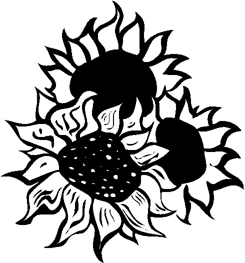 free black and white clip art sunflowers - photo #3