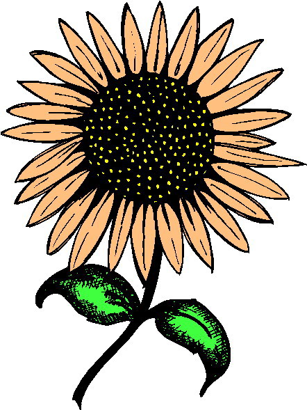 free clip art sunflowers flowers - photo #39